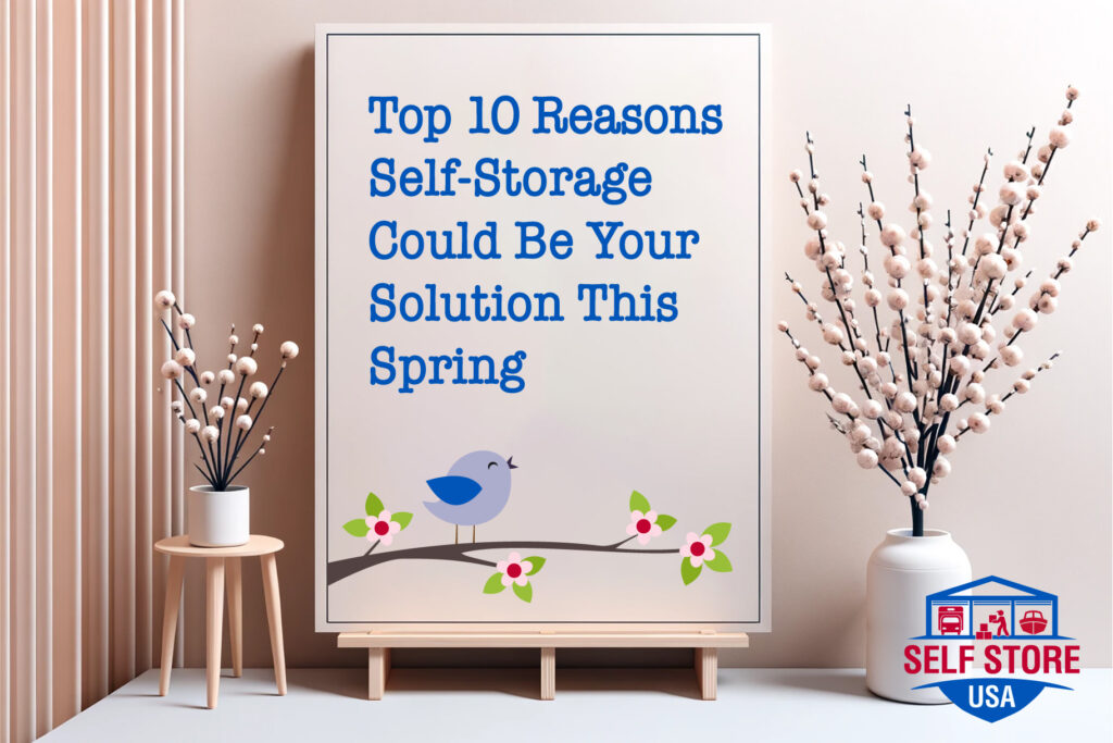 Poster with top 10 reasons self-storage could be your solution this spring